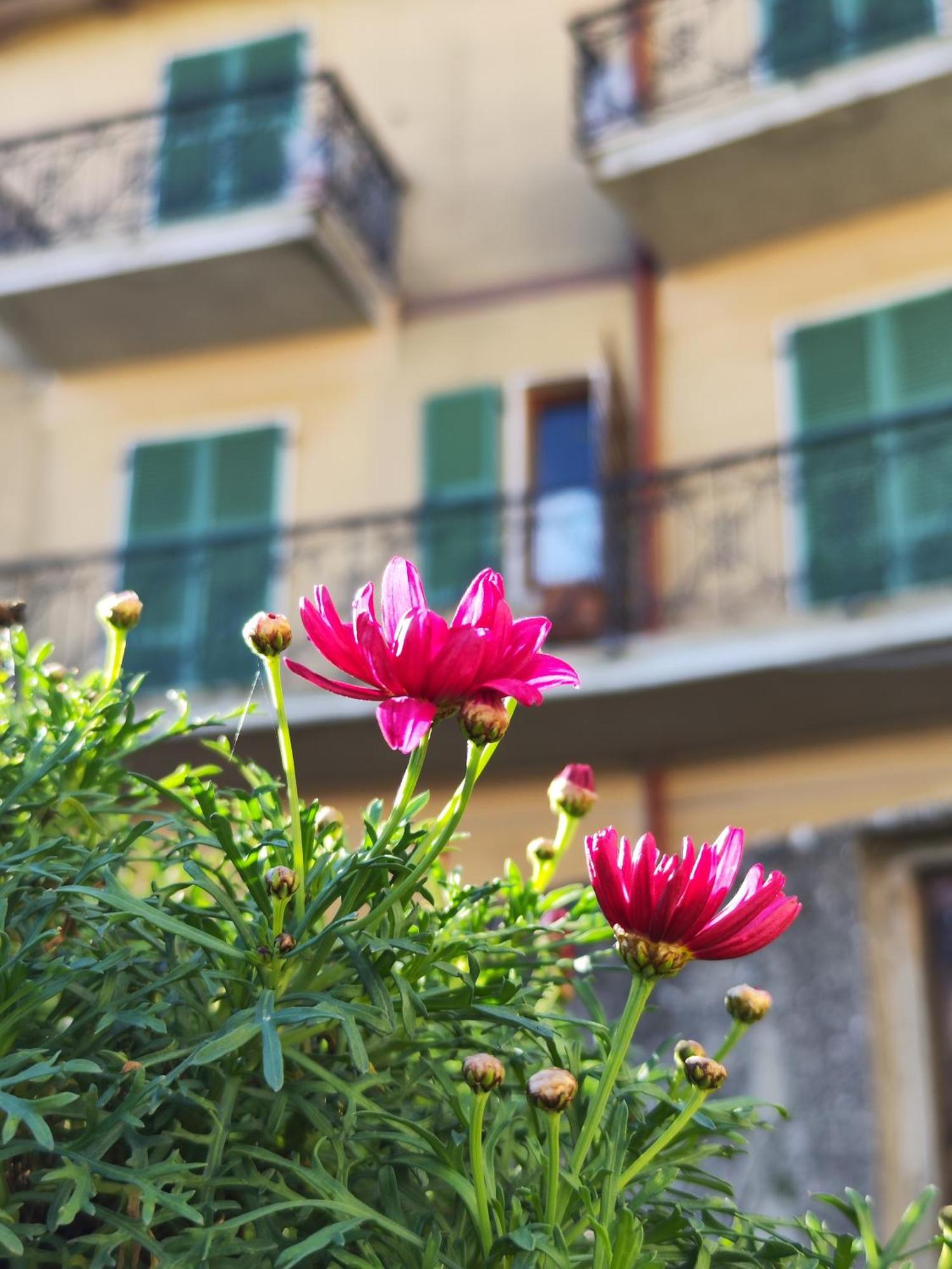 Casa Agello B&B Ripatransone Exterior photo
